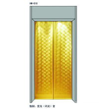 Elevator Door Panels For 630Kgs Passenger Elevator